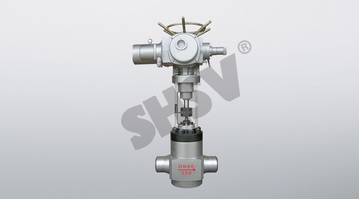 �����վ��ֹ�y