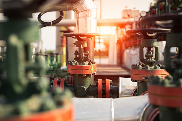 �P���y�T�ܷ⣬���ò��f����Щ��