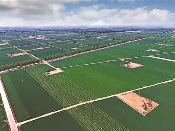 �A����������һ�w�����a�������ܾ��I��Ч��